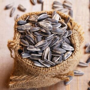 Sunflower Seeds - Bulk Order