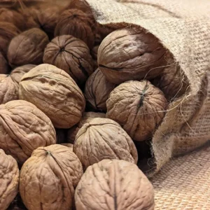 Walnuts - Bulk Order