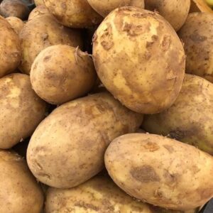 Pakistan Patato - Bulk Order