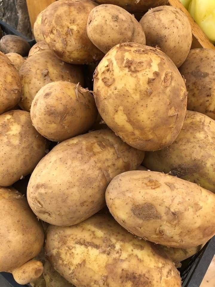 Pakistan Patato - Bulk Order