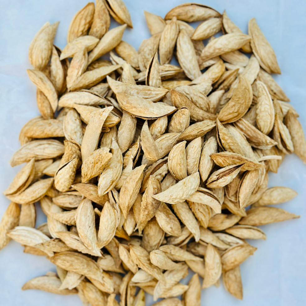 Almonds (Satar Bai, Kunduz)