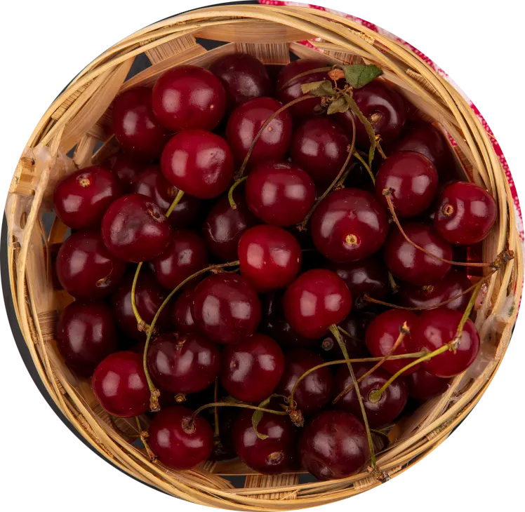 Cherries