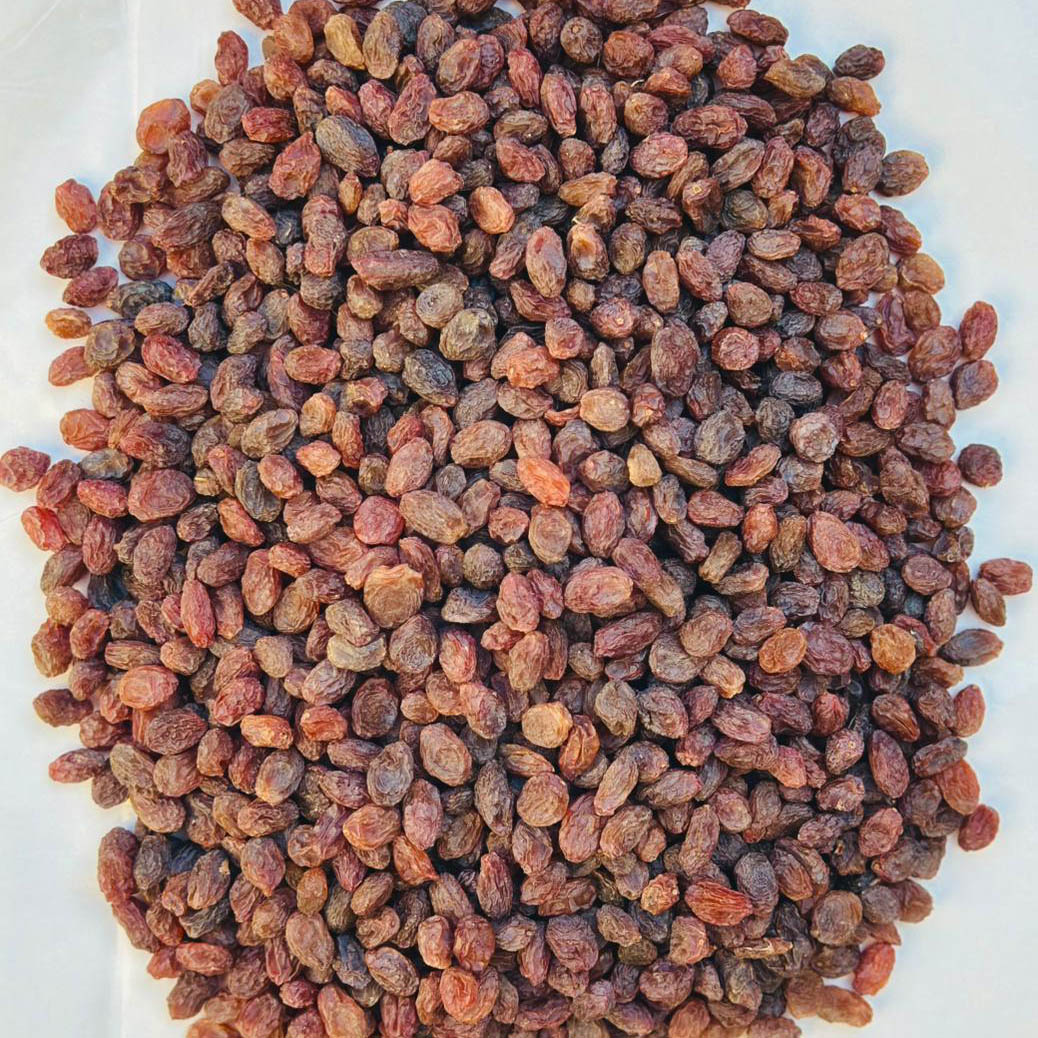 Red Raisins (Ghazni)