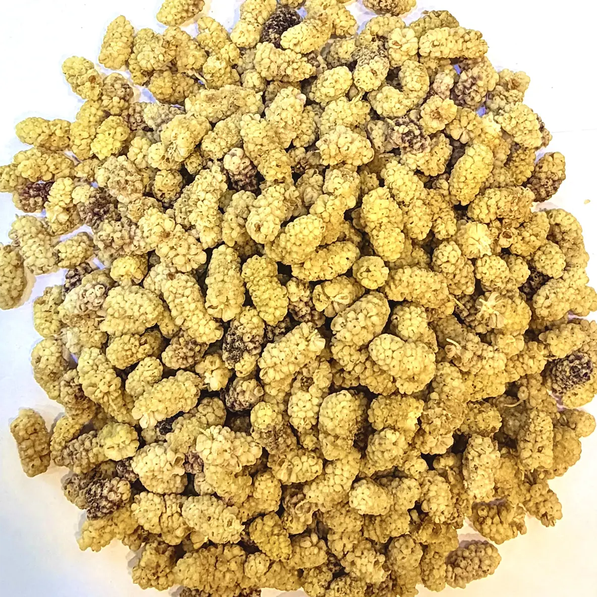 White Mulberries